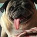 Profile Picture of Lloyd James (@lloyd.james.73997) on Facebook