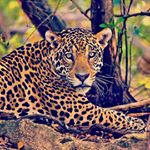 Profile Picture of Philip.danull (@philip.danull) on Instagram