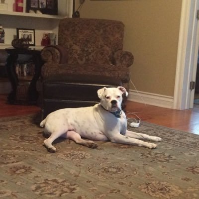 Profile Picture of Shelly Driscoll (@shelly_driscoll) on Twitter