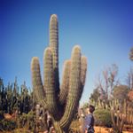 Profile Picture of Linda (@lknighty) on Instagram