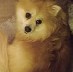 Profile Picture of Shirley Gough (@Shirley-Gough) on Facebook