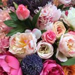 Profile Picture of Ella Helen Sturm (@ellahelensturm) on Instagram