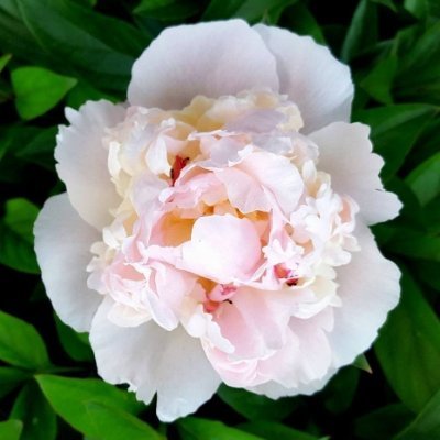 Profile Picture of Mark McBeth (@markmcbeth) on Twitter