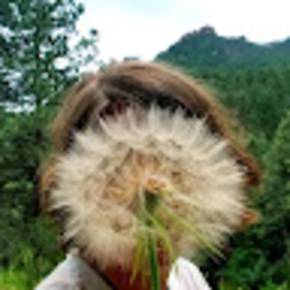 Profile Picture of Andy F (@skommy624) on Poshmark