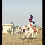 Profile Picture of Onkar Gill (@onkar.gill.3344) on Instagram