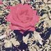 Profile Picture of Clouds Valencia (@cloudsvalencia) on Pinterest