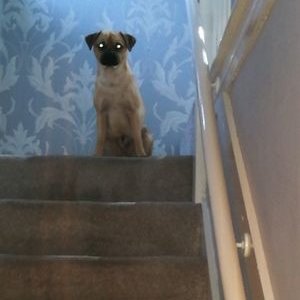 Profile Picture of John Savin (@savin_john) on Twitter