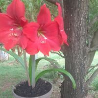 Profile Picture of Phyllis Thurman (@phyllis-thurman-2) on Quora