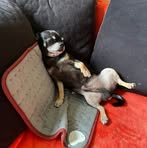 Profile Picture of Alexandra Döring (@Alexandra-Döring) on Facebook