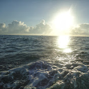 Profile Picture of Luis Humberto Cuellar Leal (@luishumbertocuellarleal3026) on Youtube