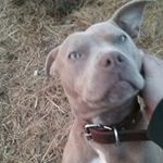 Profile Picture of Tim Alwardt (@timalwardt) on Instagram