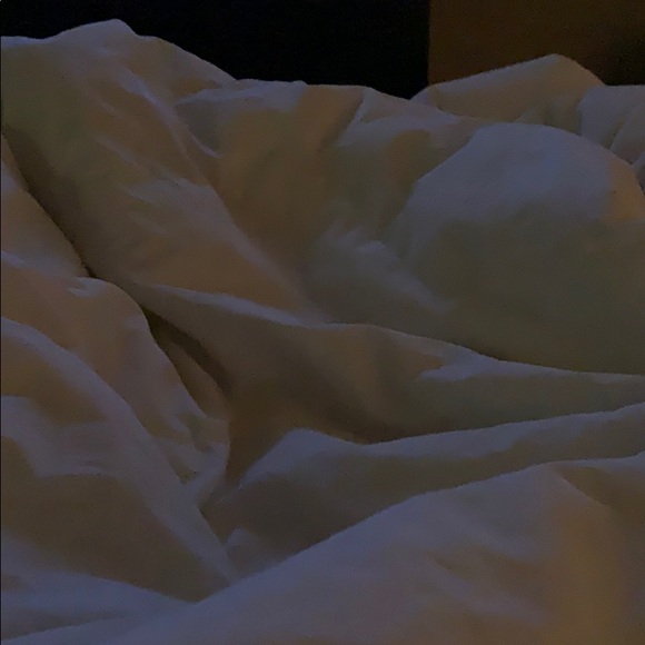 Profile Picture of Julianna Navarro (@jewls_bubbles) on Poshmark