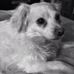 Profile Picture of David Vuong (@david.vuong.7524) on Facebook
