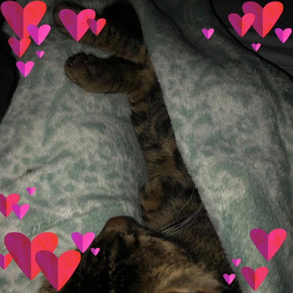 Profile Picture of Josh Garrett (@joshgarrett794) on Poshmark