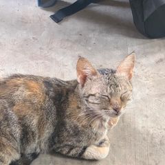 Profile Picture of herbwest3 (@herbwest3) on Tiktok