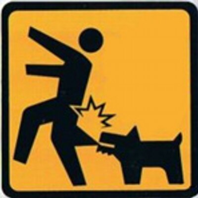 Shane Schofield - Twitter Profile Picture of Shane Schofield (@shaneschofield) on Twitter