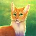 Profile Picture of warrior cat fan (@lilydmoe) on Pinterest