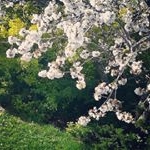 Profile Picture of Mario Borràs (@mariobofer) on Instagram