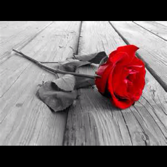 Gres Pineda - Poshmark Profile Picture of Gres Pineda (@gres) on Poshmark