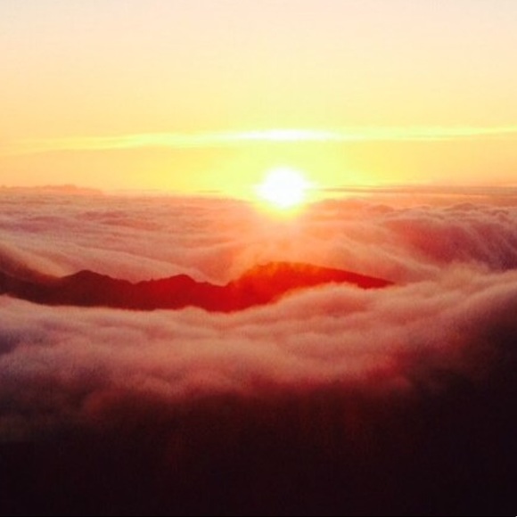 Quinn Jones - Poshmark Profile Picture of Quinn Jones (@quinnjones171) on Poshmark