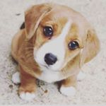 Profile Picture of Kevin Reddy (@kevinreddy7) on Instagram
