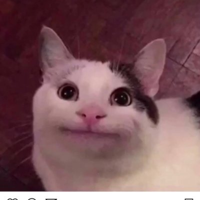 Profile Picture of Tdog (@Tori_Parrish15) on Twitter