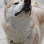 Profile Picture of Marleah (@marleahwhitmer) on Instagram