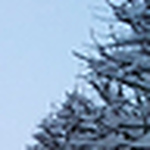 Profile Picture of Mark Barrow (@mark barrow) on Flickr