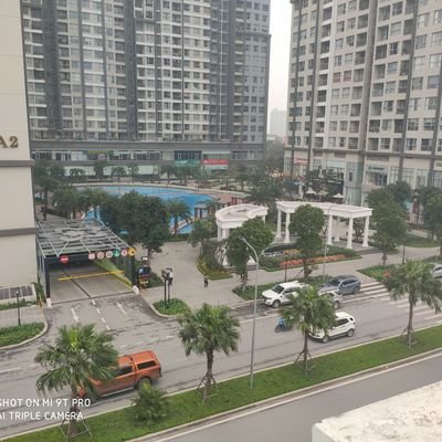 Profile Picture of Quang Lai (@quanglai7) on Twitter