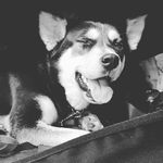 Daniel Thöle - Instagram Profile Picture of Daniel Thöle (@danielodethoelo) on Instagram