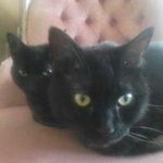 Profile Picture of Jeremy Williams (@flickyhecky) on Instagram