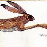 Profile Picture of David Knaggs Shaw (@knaggsshaw) on Instagram