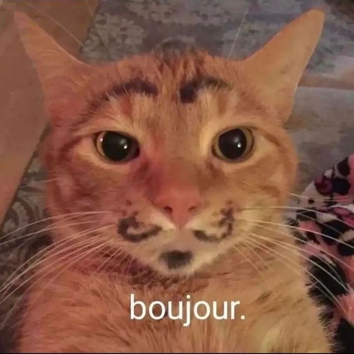 Profile Picture of James (@james.ing) on Tiktok