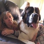 Profile Picture of Billie Joe Endsley (@saintbernardmomma) on Instagram