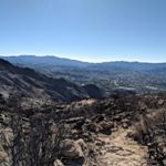 Profile Picture of David Rackow (@davidrackow) on Instagram