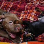 Profile Picture of Jonathon Caflisch (@nonpryvawo1219) on Instagram