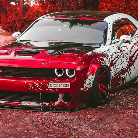 Profile Picture of Joseph Mcmannus (@josephmcmannus) on Tiktok