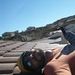 Profile Picture of Jared Cain (@jaredingtown) on Pinterest