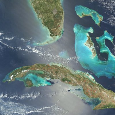 Profile Picture of Tom Didzbalis (@tomdidzbalis) on Twitter