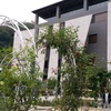 Profile Picture of Chang Cheng Liu (@@2162882004) on Tiktok
