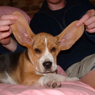 Profile Picture of James Windsor (@jimmywindsor) on Twitter