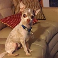 Profile Picture of Ken Saefkow (@ken-saefkow) on Quora