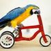 Profile Picture of Thomas Jankowski (@thomas1jankowski) on Pinterest