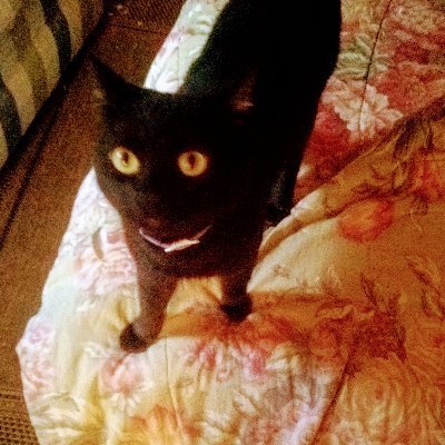 Profile Picture of Michael Brogdon (@bromicha415) on Twitter