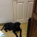 Profile Picture of Cecile Williams (@cecile.williams.3954) on Facebook