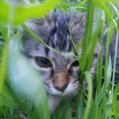 Profile Picture of Julia Poirier (@ju_la_reunion) on Twitter