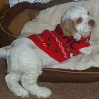 Dave Gilchrist - Quora Profile Picture of Dave Gilchrist (@dave-gilchrist-5) on Quora