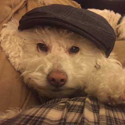 Laura Knighten - Twitter Profile Picture of Laura Knighten (@LauraKnighten) on Twitter