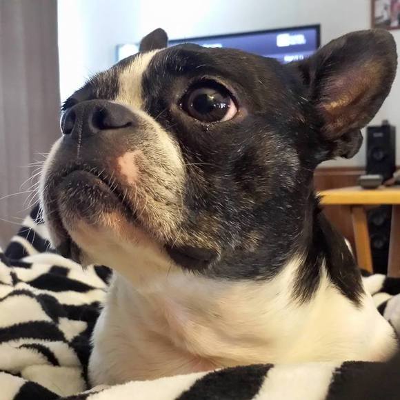 Profile Picture of Rachel Slayback (@rslayback625) on Poshmark