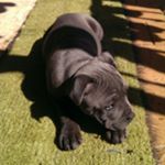 Profile Picture of Oliver ison (@oliverison) on Instagram